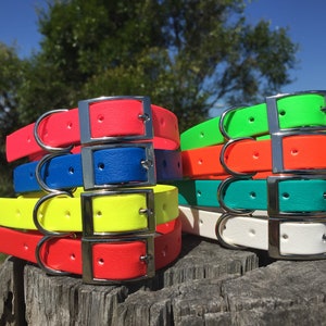 May include: Stacks of colorful dog collars in various shades, including red, blue, yellow, green, orange, and white. Each collar features a silver-colored buckle and a D-ring for leash attachment. The collars are displayed on a weathered wooden surface.
