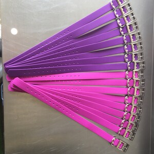 May include: A collection of dog collars in shades of purple and pink, arranged in a fan shape. Each collar features a silver-colored buckle and a series of evenly spaced holes for adjustment. The collars are made of a smooth, solid material.