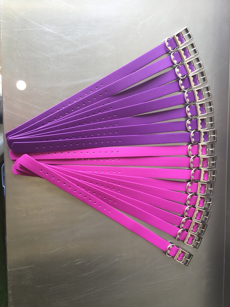 May include: A collection of dog collars in shades of purple and pink, arranged in a fan shape. Each collar features a silver-colored buckle and a series of evenly spaced holes for adjustment. The collars are made of a smooth, solid material.