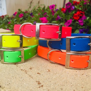 May include: A selection of brightly coloured dog collars in neon shades of yellow, green, pink, blue, and orange. Each collar has a silver-coloured metal buckle and a matching D-ring. The collars are stacked on a stone surface.