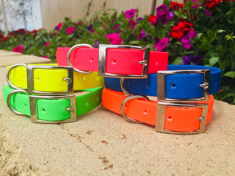 May include: A collection of colorful dog collars in neon shades of yellow, green, pink, blue, and orange. Each collar features a silver-colored metal buckle and a matching D-ring. The collars are stacked on a stone surface.