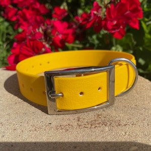 May include: A bright yellow dog collar with a silver-colored buckle. The collar is made of a smooth material and has several holes for adjustment. The buckle is rectangular and has a classic design. The background features red flowers.