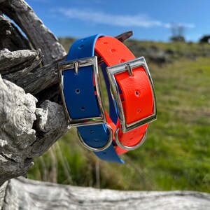 May include: Two dog collars, one blue and one orange, are displayed. Each collar has a silver-colored metal buckle. The collars are made of a flexible material and are shown against a backdrop of a blue sky and green grass.