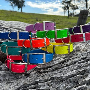 May include: A collection of colorful dog collars in various shades, including blue, green, red, and purple. Each collar features a silver-colored buckle. The collars are arranged on a weathered wooden surface, with a blurred green background.