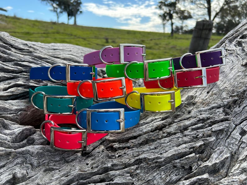 May include: A collection of colorful dog collars in various shades, including blue, green, red, and purple. Each collar features a silver-colored buckle. The collars are arranged on a weathered wooden surface, with a blurred green background.
