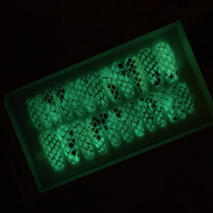 May include: A set of 10 glow-in-the-dark fake nails with a snake skin pattern. The nails are arranged in a clear plastic case.