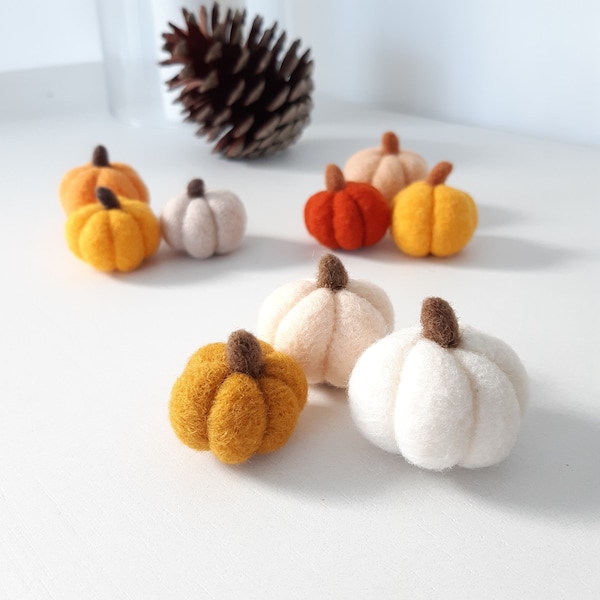 Petites citrouilles décoratives en laine feutrée, décoration automne naturelle, idée cadeau durable