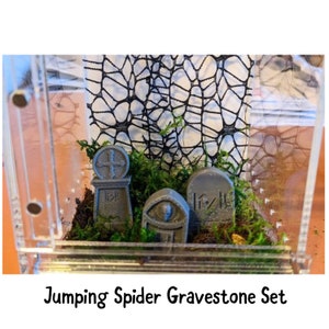 Jumping Spider or Tarantula Gravestone Decoration Set