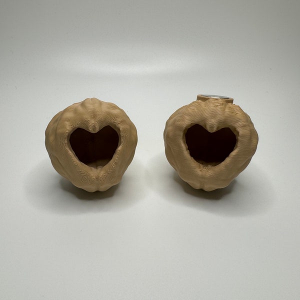 Jumping Spider Magnetic Heart Walnut Hide