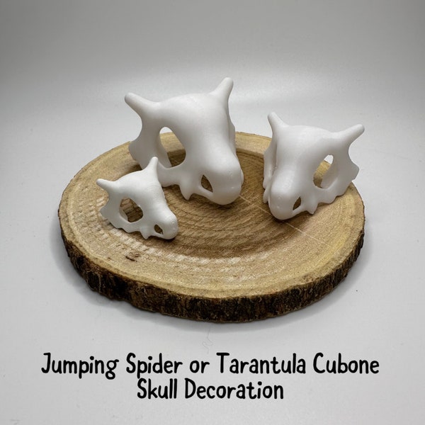 Jumping Spider or Tarantula Cubone Skull Decoration