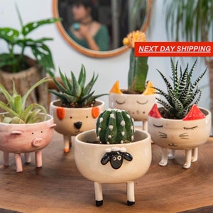 Cute Ceramic Succulent and Cactus Clay Planter Pot, Ceramic Animal Succulent, Home Decor, Minimalist Textured Decor