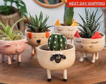 Cute Ceramic Succulent and Cactus Clay Planter Pot, Ceramic Animal Succulent, Home Decor, Minimalist Textured Decor