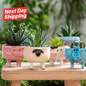 Handmade Ceramic Animal Cactus Planter – Cute Succulent Pot for Desk, Boho Decor & Gift Ideas – Minimalist, Whimsical and Unique Design