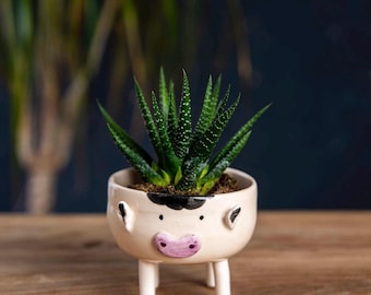 Cow Planter, Handmade Ceramic Farmhouse Succulent Pot, Mini Animal Vase