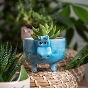 May include: A light blue ceramic planter shaped like a hippopotamus, with a succulent plant inside. The planter has a whimsical design with the hippo's face and legs. The background includes other plants and a woven basket.