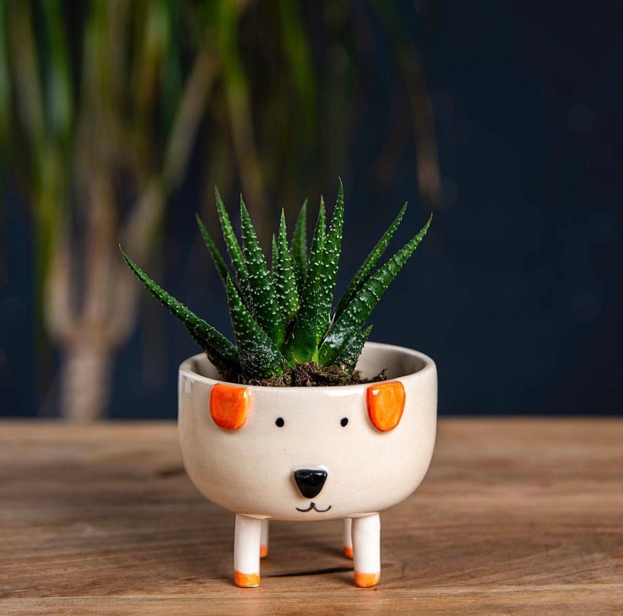 Mini Vaso In Ceramica A Forma Di Animale Gaolinci Per Piante Grasse E Cactus, 7,9 Cm