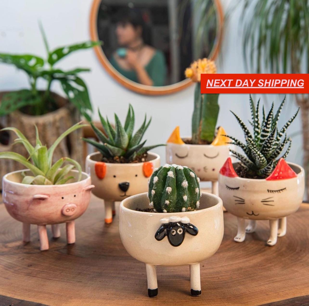 手作りの小動物型プランター、室内用多肉植物鉢、植物好きへのギフト