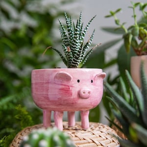 Cute Ceramic Succulent and Cactus Clay Planter Pot, Ceramic Animal ...