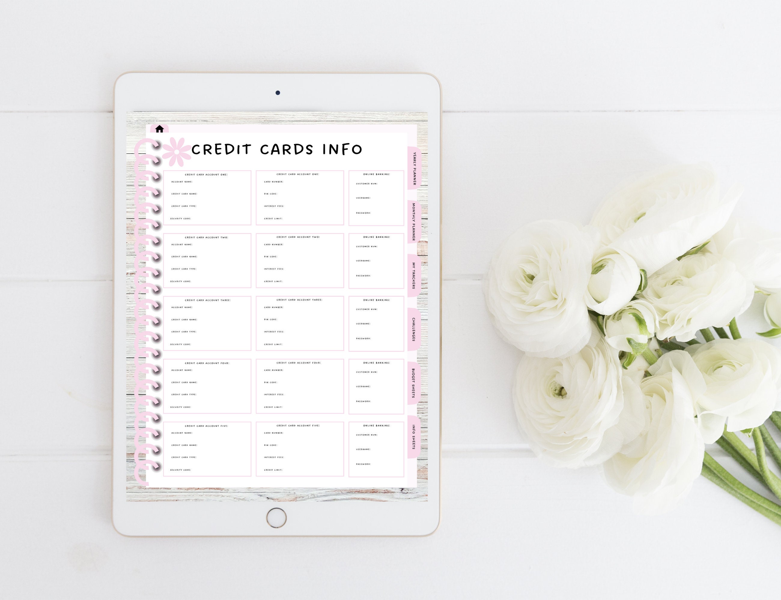 PLR Budget Canva Planner Template PLR Planner Template - Etsy