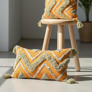 May include: Two decorative pillows with a vibrant orange background and a zig-zag pattern in olive green and white. Each pillow has matching tassels on the corners. One pillow is rectangular, the other is square. Home decor.