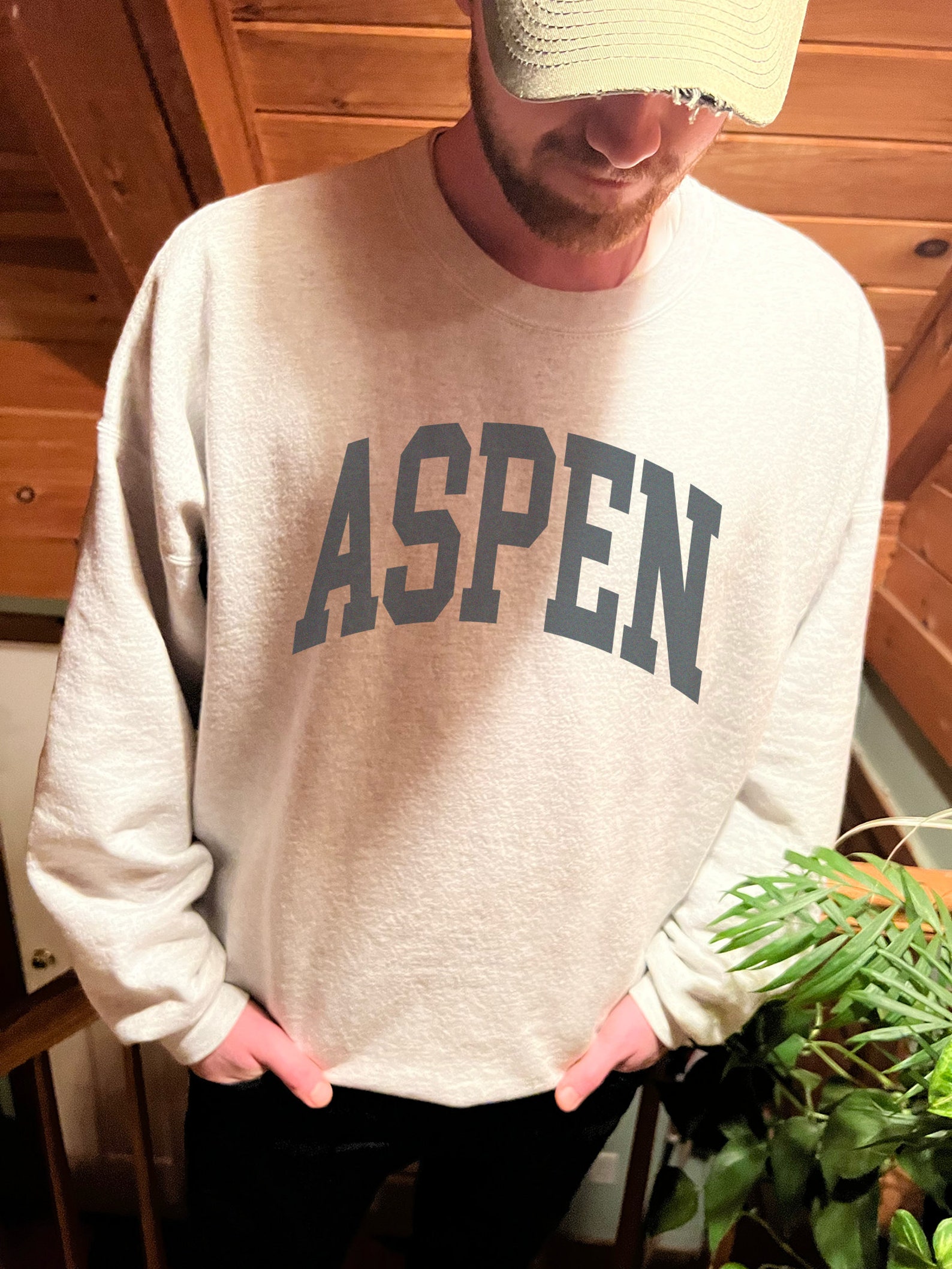 Aspen Sweatshirt Faded Vintage Aesthetic Aspen Colorado Etsy