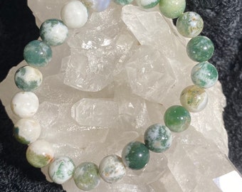 Tree Agate Stretch Bracelet for Inner Peace and Abundance