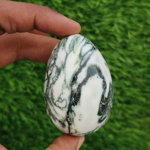 Beautiful Tree Agate Egg Metaphysical Crystal Gamestone Quality Specimen Stone Healing Crystal