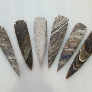 May include: Six arrowheads made of brown and white banded agate. The arrowheads are all pointed and have a similar shape.