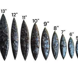 May include: A set of 12 black obsidian arrowheads, ranging in size from 3 inches to 14 inches. The arrowheads are all made of obsidian, a type of volcanic glass, and have a sharp point.