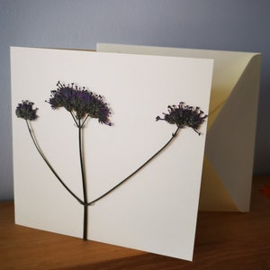 Carta pressata a fiore.