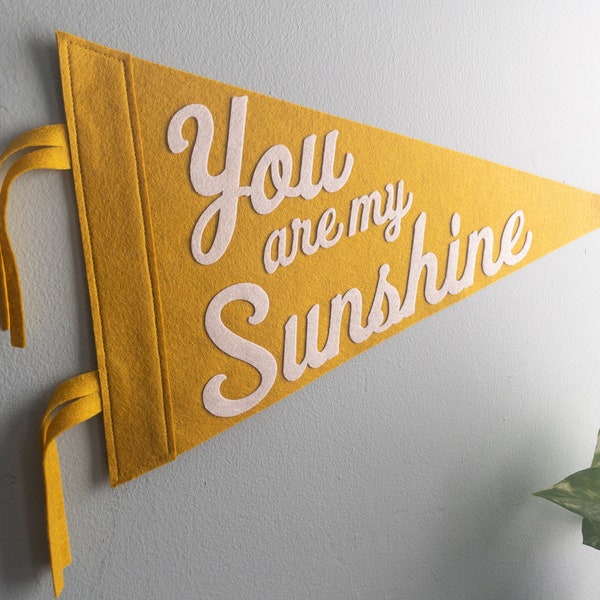 You Are My Sunshine Pennant Flag Nursery Wall Decor Art Baby Shower Gift Custom Pennant Camp Flag Big Kid Room Inspirational Decor Vintage