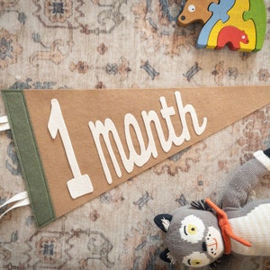 Baby Milestone Pennant Flag Monthly Marker Shower Gift for Newborn Parents Custom Photo Prop Kit Nursery Decor Felt Banner Personalization