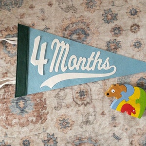Baby Milestone Pennant Flag Monthly Marker Shower Gift for Newborn Parents Custom Photo Prop Kit Nursery Decor Felt Banner Personalization