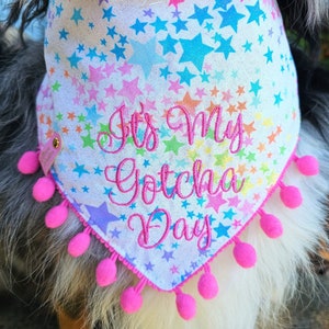 May include: A white dog bandana with a rainbow star pattern and pink pom-poms around the edge. The bandana has the text "It's My Gotcha Day" embroidered in pink.