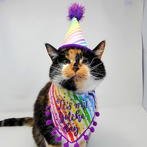 Cat Gotcha Day Bandana, Tie & Snap Style, Embroidered "It's My Gotcha Day" on Rainbow Confetti Stripes, Party Hat(SEPARATE).