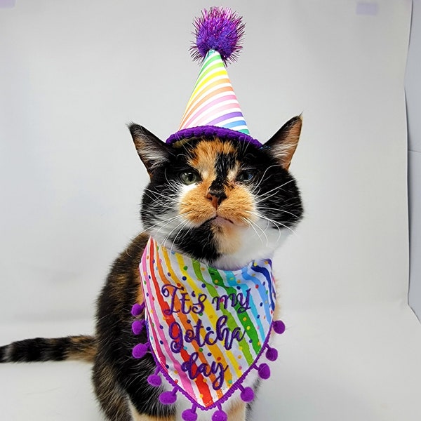 Cat Gotcha Day Bandana, Tie & Snap Style, Embroidered "It's My Gotcha Day" on Rainbow Confetti Stripes, Party Hat(SEPARATE).