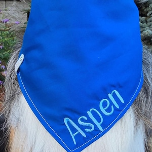 May include: A bright blue triangular pet bandana featuring the name Aspen embroidered in light blue thread. The fabric has white topstitching along the edges and includes a small white leather-like tab with a silver metal snap fastener on the side.