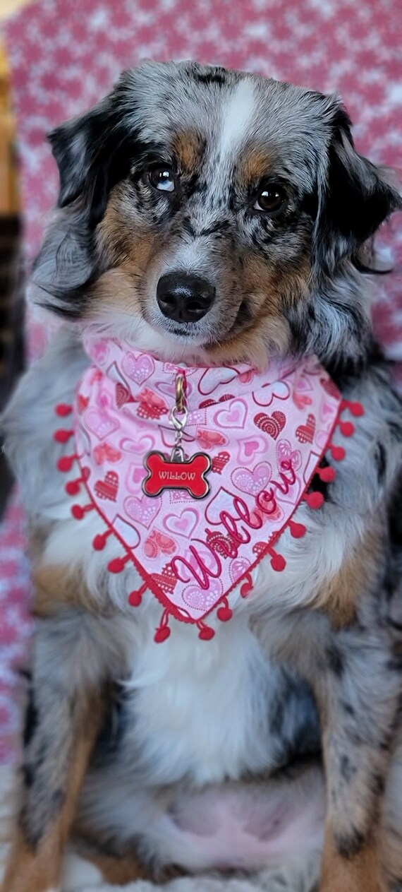 Dog Bandana, Red Heart Valentine