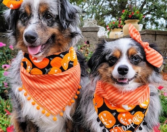 May include: Two Australian Shepherd dogs wearing matching orange and black Halloween-themed bandanas and hair bows. The bandanas feature a pumpkin pattern, orange stripes, and black pom-pom trim. One bandana has the name Jasper embroidered on it.