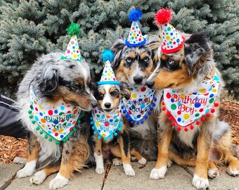 Dog Birthday Bandana, Primary Polka Dots, Tie & Snap Style Embroidered "Birthday Girl" Or "Birthday Boy"  Available Party Hat(SEPARATE)