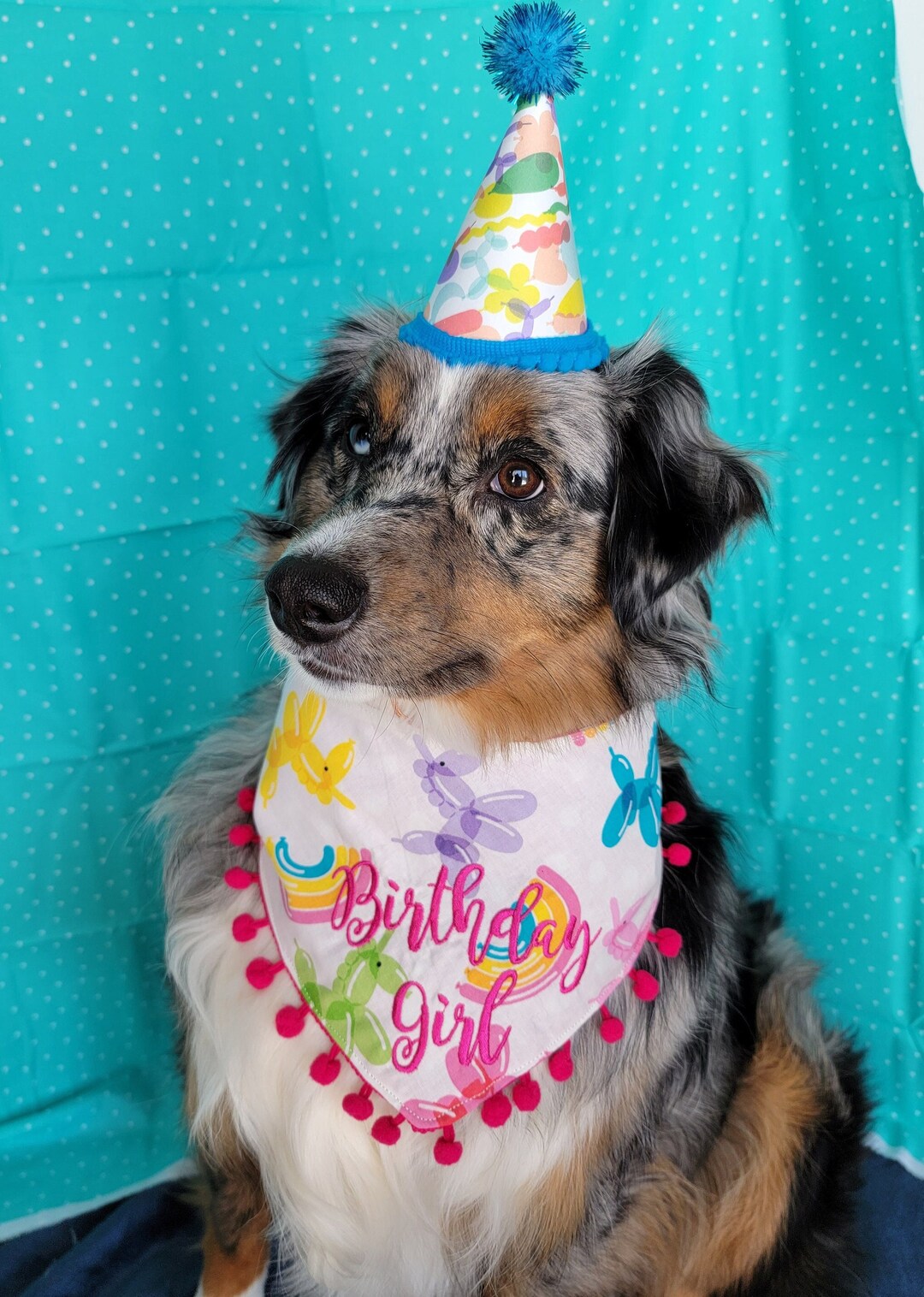 Dog Birthday Bandana Birthday Dog Bandana Over the Collar, Embroidered