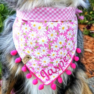 May include: A pink pet bandana featuring a white daisy floral pattern and a pink and white gingham collar section. The bandana is embroidered with the name Jasper in pink script and is trimmed with small pink pom-poms along the bottom edge.