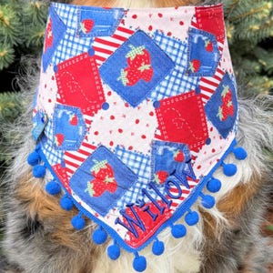May include: A colorful dog bandana with a patchwork design featuring red strawberries on blue squares and red and white stripes. The bandana has blue pom-pom trim and the name "Willow" embroidered in blue.