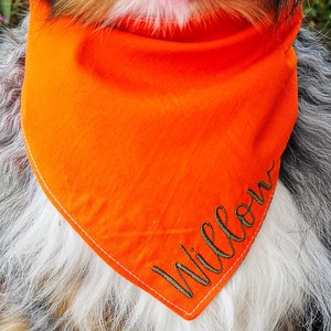 May include: A bright orange dog bandana with white stitching and the word "Willow" embroidered in green.
