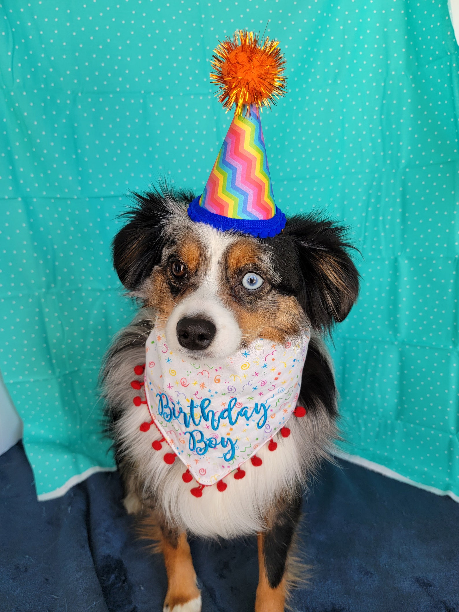 Dog Birthday Party Hat Birthday Party Hat for Dogs 4 Etsy