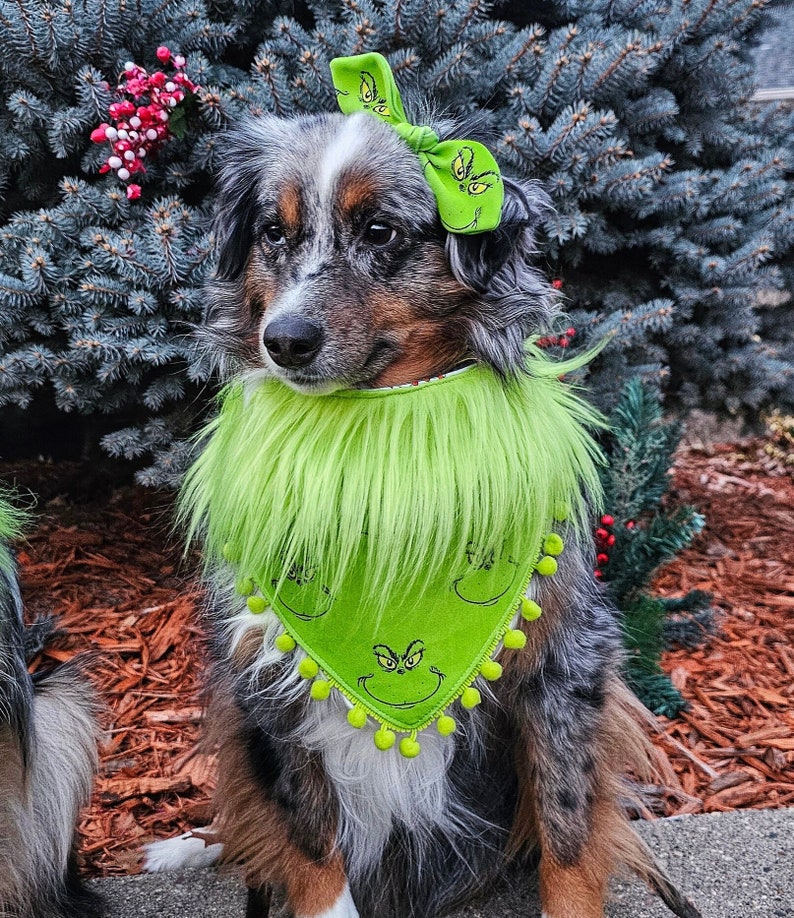 Grinch Inspired Dog Bandana Dog Christmas Bandana, Elastic Closure