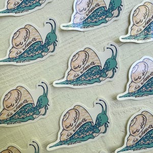 Snail Sticker, Live Slow Die Whenever, Waterproof Vinyl Decal, Nature Stickers, Computer Decals, Snail Art, Hand Drawn Decal, Unique Sticker