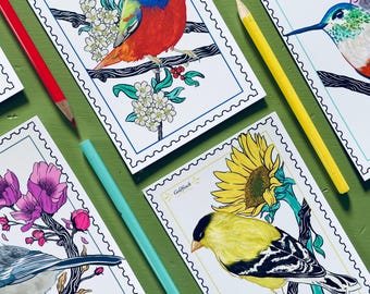 Illustrated Bird Postcard Set – Songbird Art Prints, Nature Cards (5 Pack)