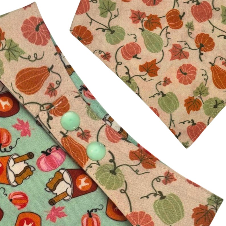 Puede incluir: Un conjunto de accesorios para perros con tem&aacute;tica oto&ntilde;al. El conjunto incluye un collar estampado en verde claro y beige con dos botones verde menta y un pa&ntilde;uelo a juego. Los estampados incluyen calabazas, calabacines y hojas de oto&ntilde;o.