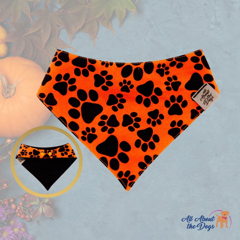 Peut inclure: Bandana orange pour chien avec des empreintes de pattes noires. Le bandana est triangulaire et porte le texte "All About the Dogs" sur une petite &eacute;tiquette. Une version plus petite du bandana est montr&eacute;e dans un encart circulaire.